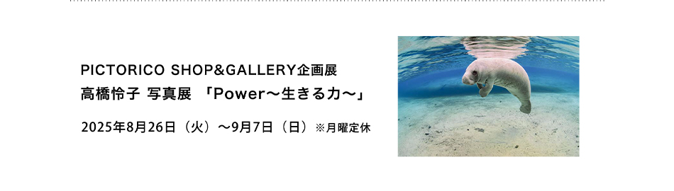 PICTORICO SHOP&GALLERY企画展 高橋怜子 写真展 「Power〜生きる力〜」